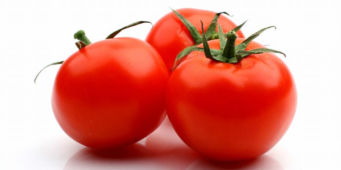トマト出汁が美味しいと大人気 出汁の取り方と活用レシピ Izilook