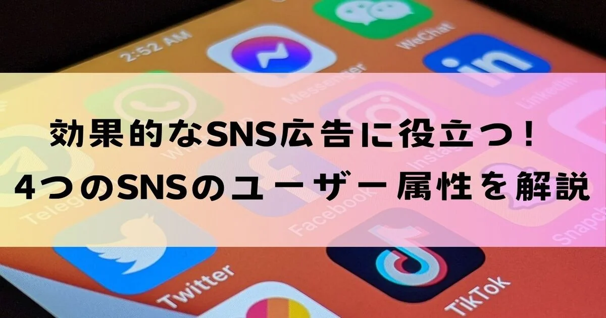 SNS広告　ユーザー属性