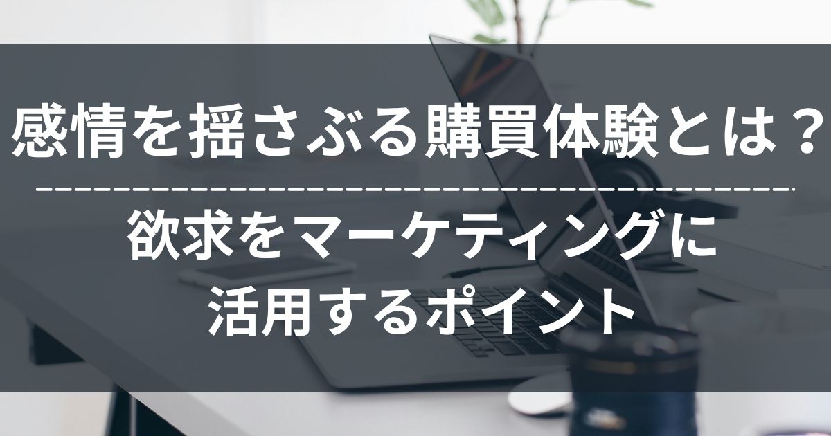 購買体験　購買行動　消費者欲求　マーケティング